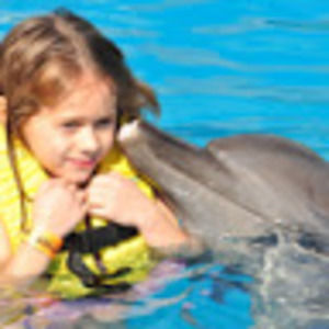 Meet your Posher, Helena